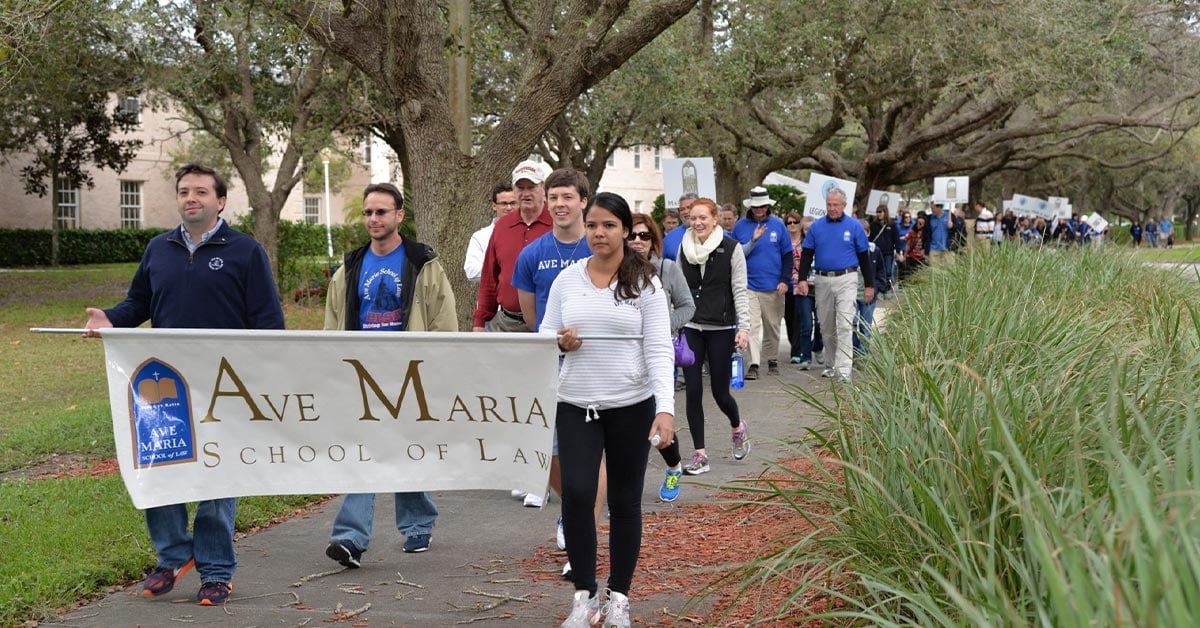 10 Best Law Schools In Florida Ave Maria School Of Law