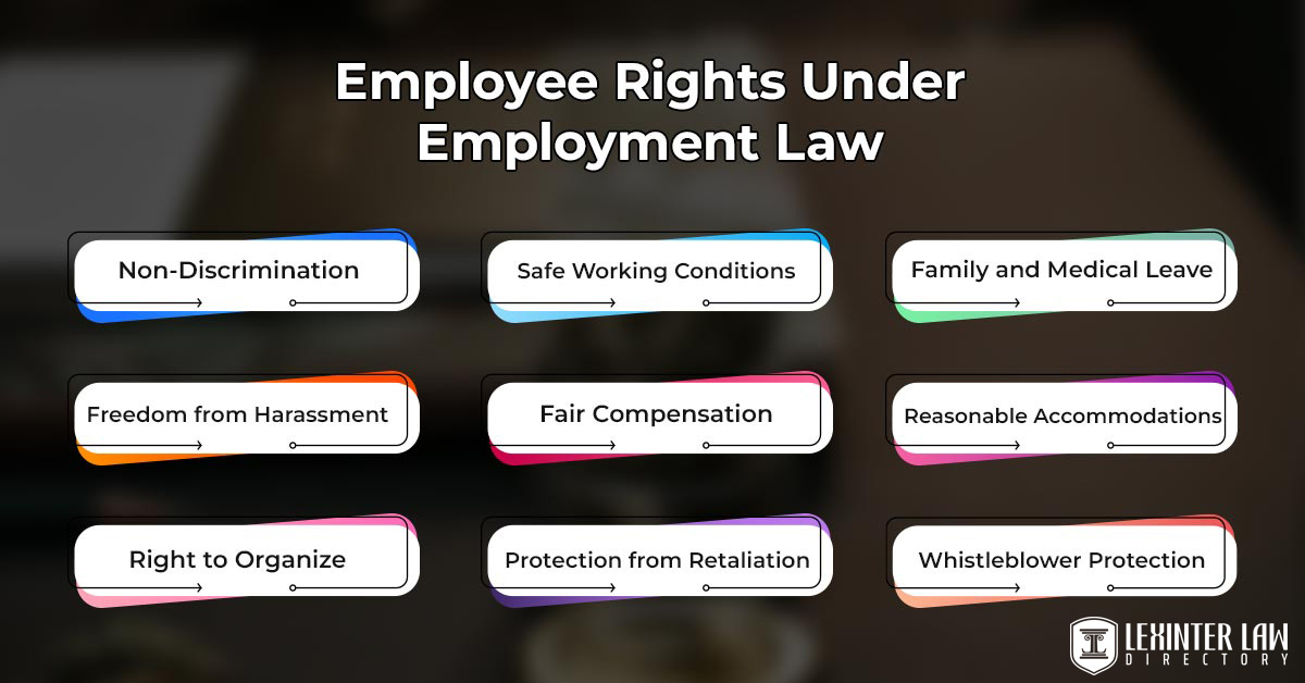 Employee Rights Under Employment Law
