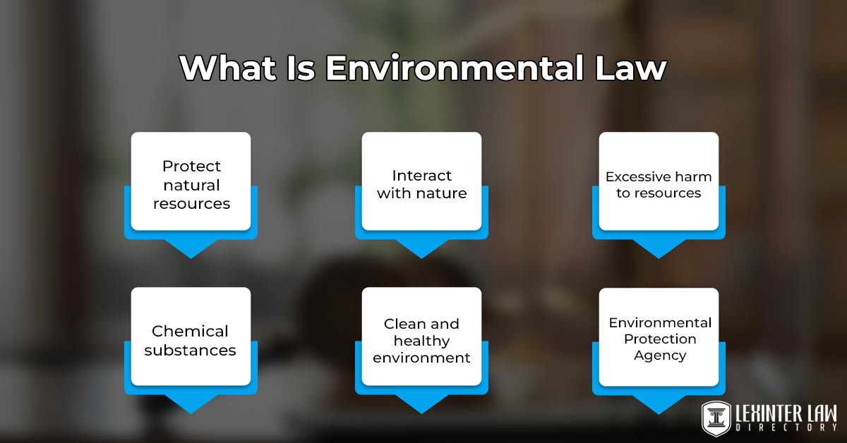 What Is Environmental Law