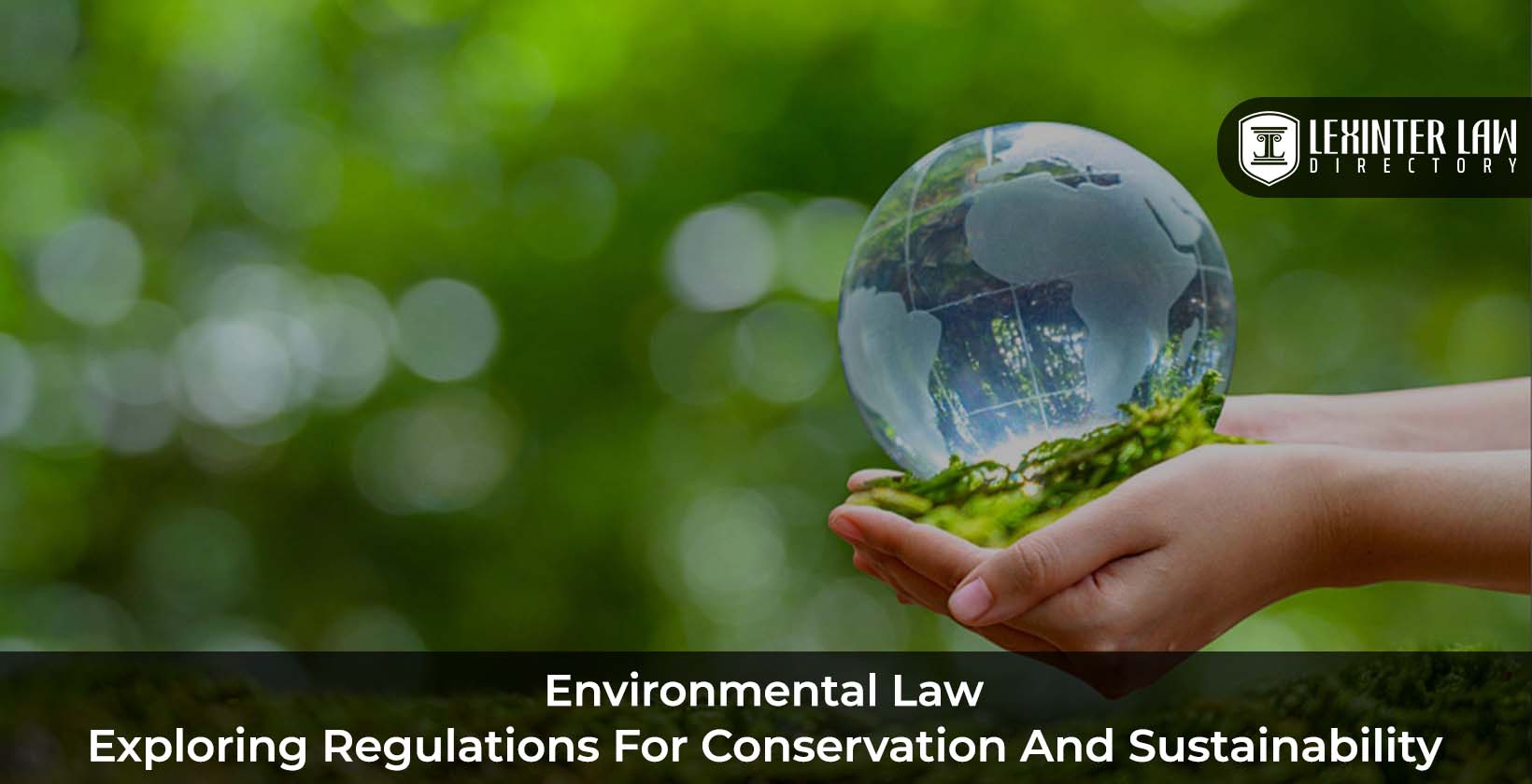 Environmental Law: Exploring Regulations for Conservation and Sustainability