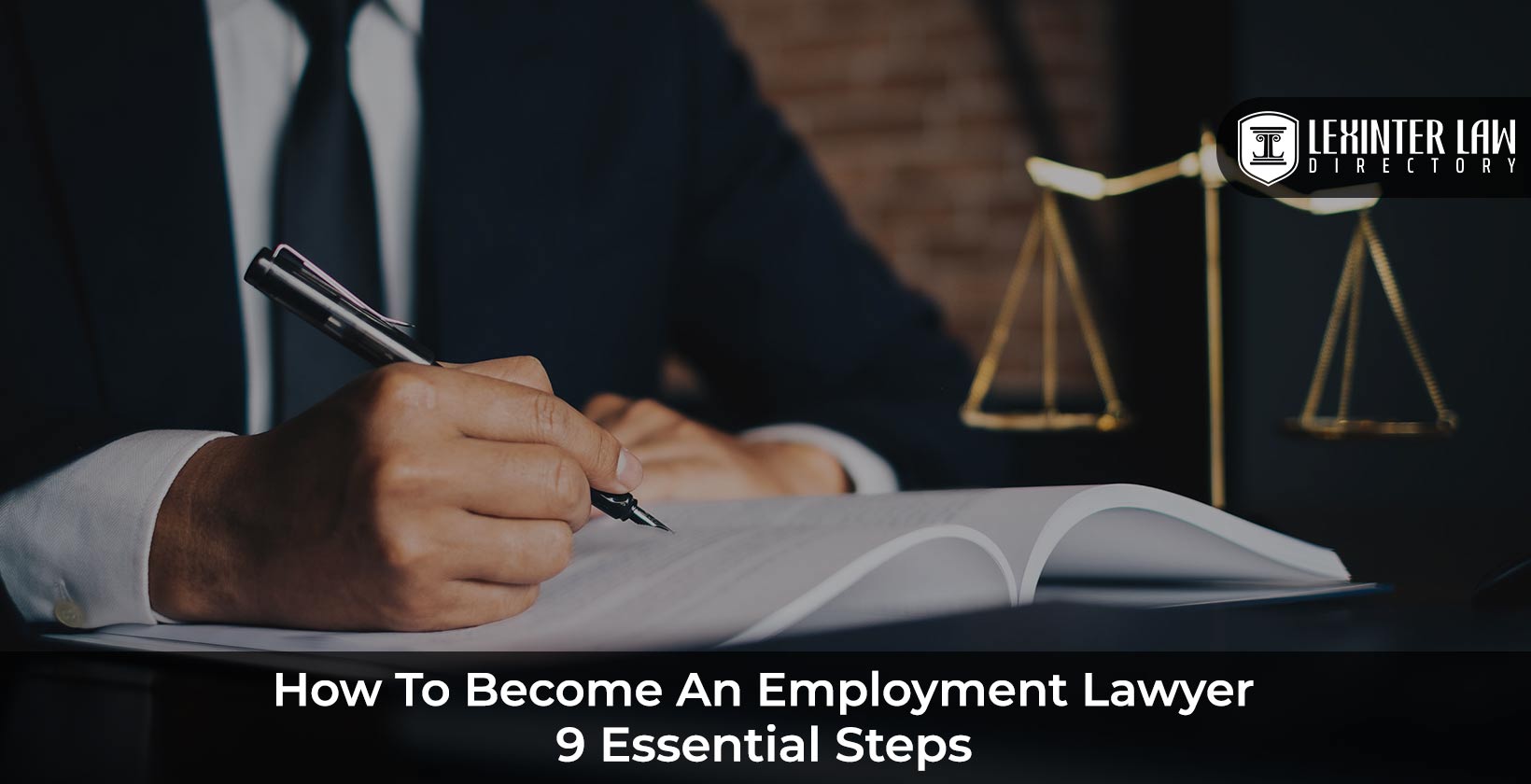 How to Become an Employment Lawyer: Education and Pathway to Success