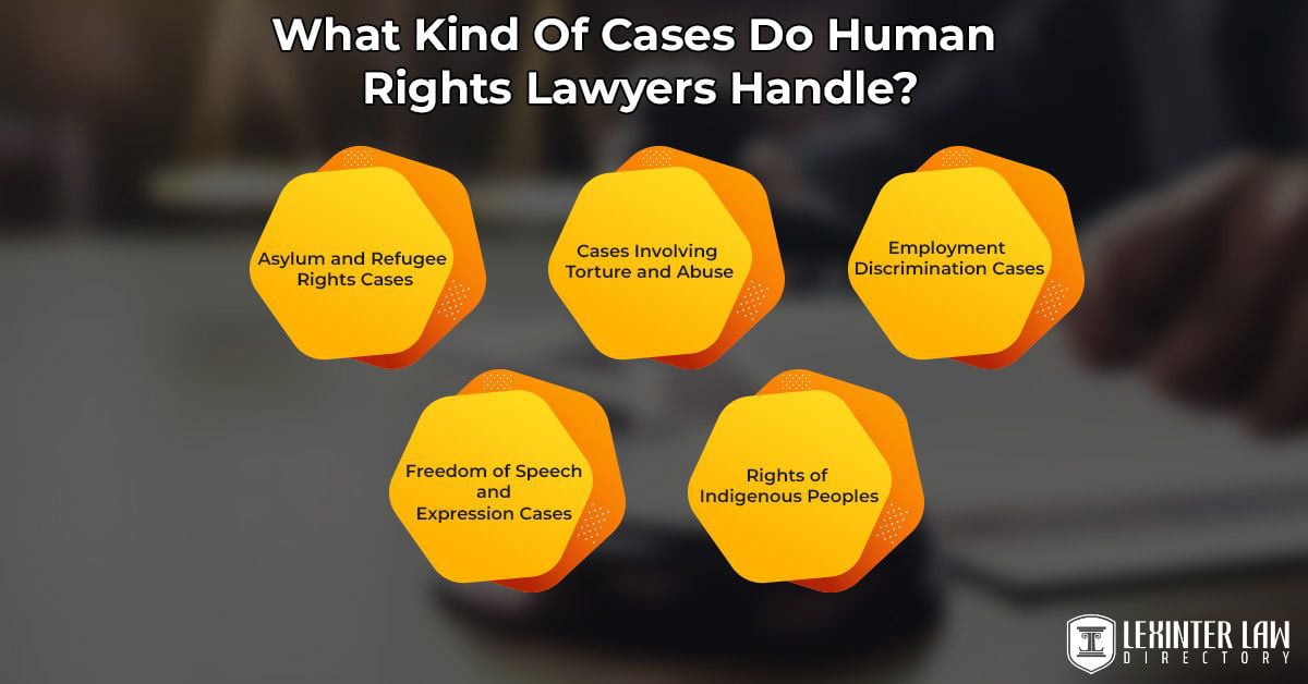 What Kind Of Cases Do Human Rights Lawyers Handle