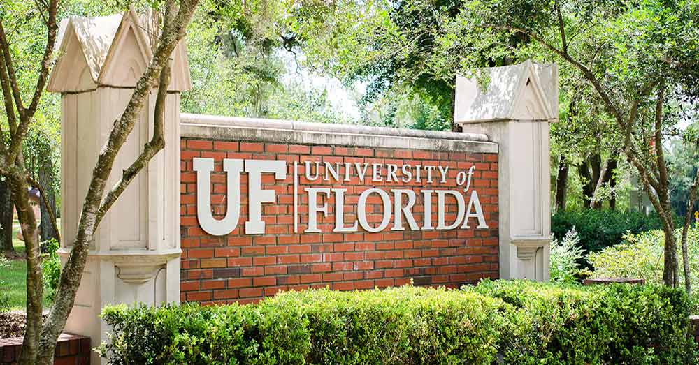 University Of Florida (Levin)