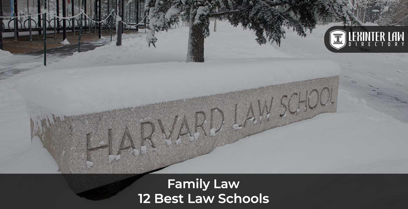 12 Best Law Schools for Family Law