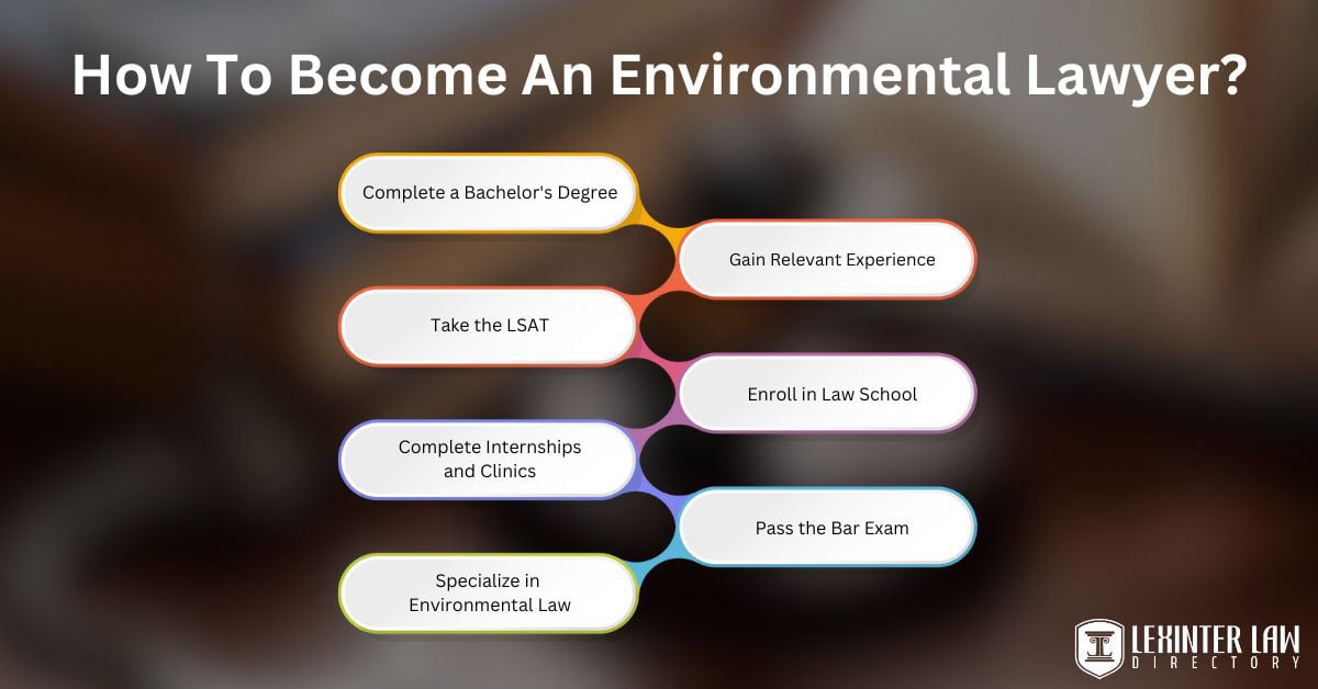 How To Become An Environmental Lawyer