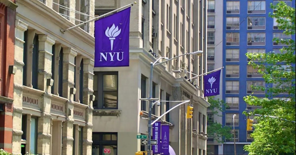 New York University