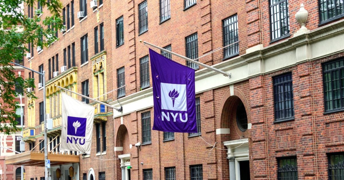 New York University