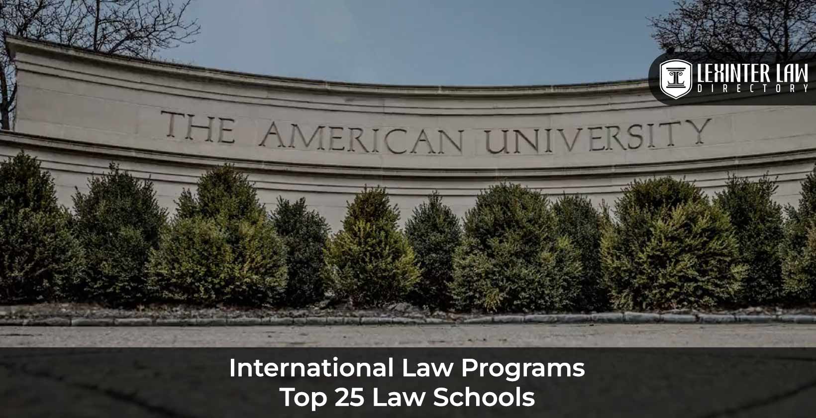 Best Law Schools for International Law