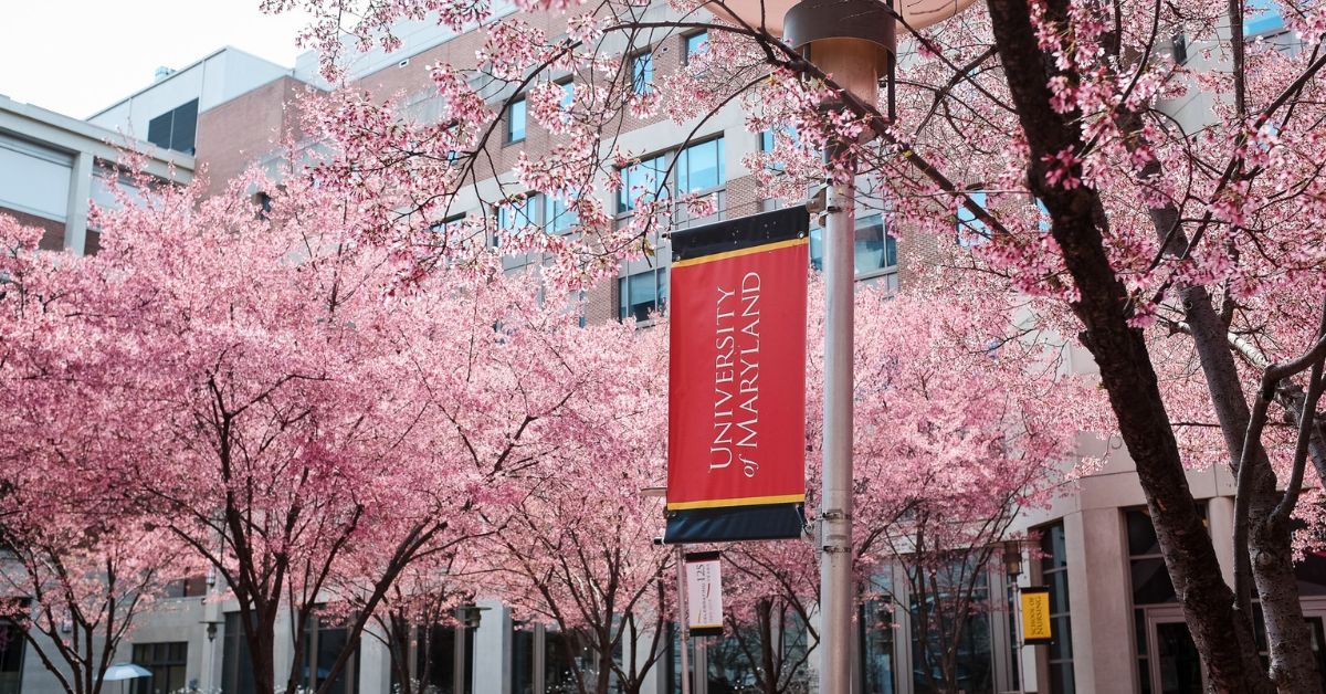 University Of Maryland