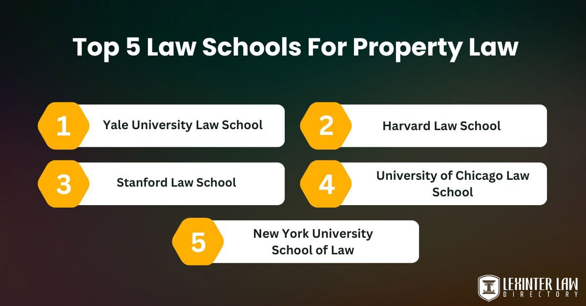 top five law schools for property law