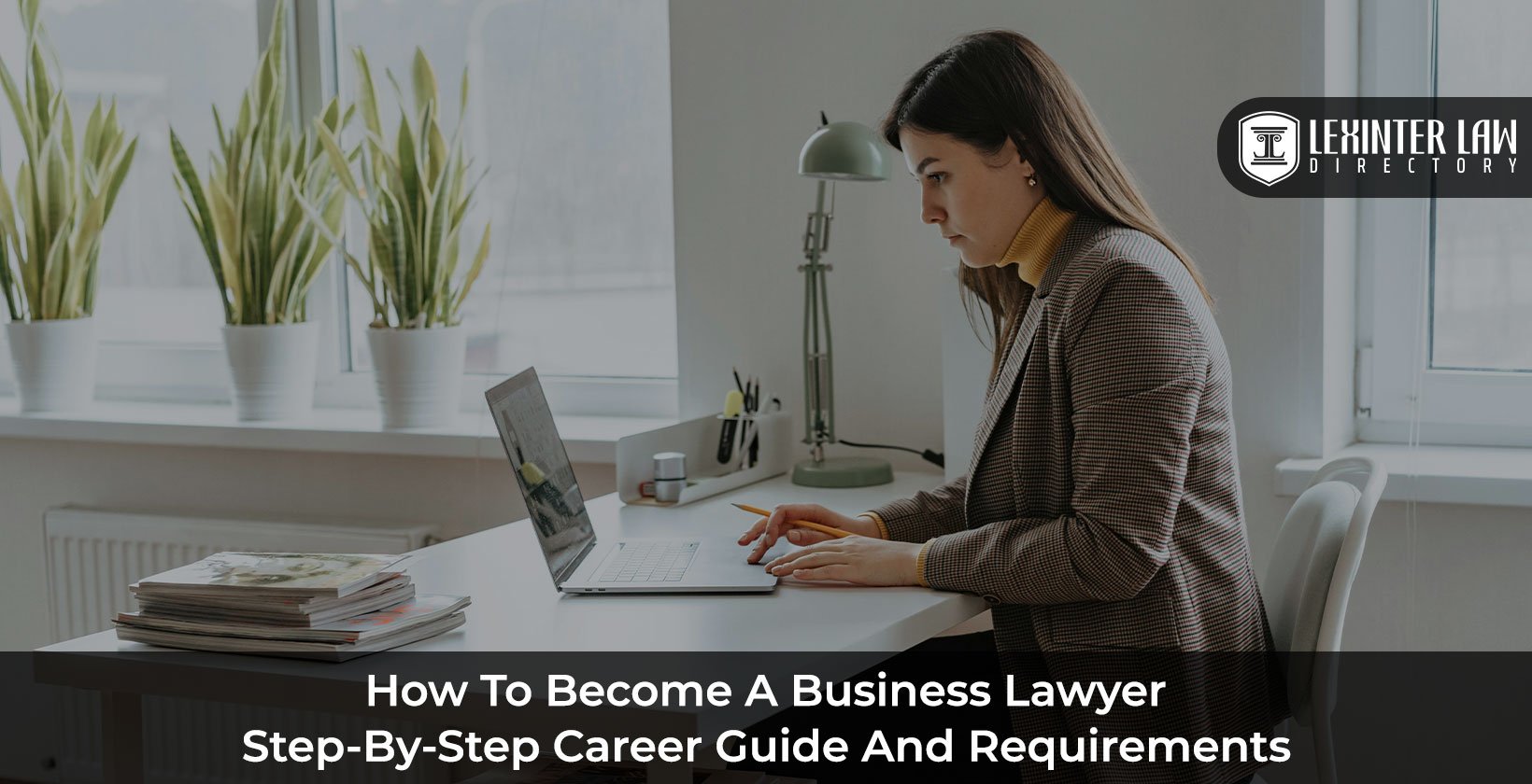How to Become a Business Lawyer: Step-by-Step Career Guide and Requirements